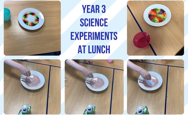 Image of Year 3: Lunchtime Science Experiment