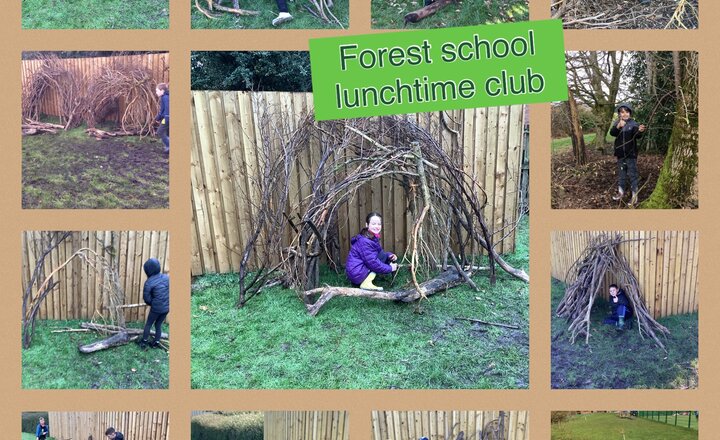 Image of Forest Schools