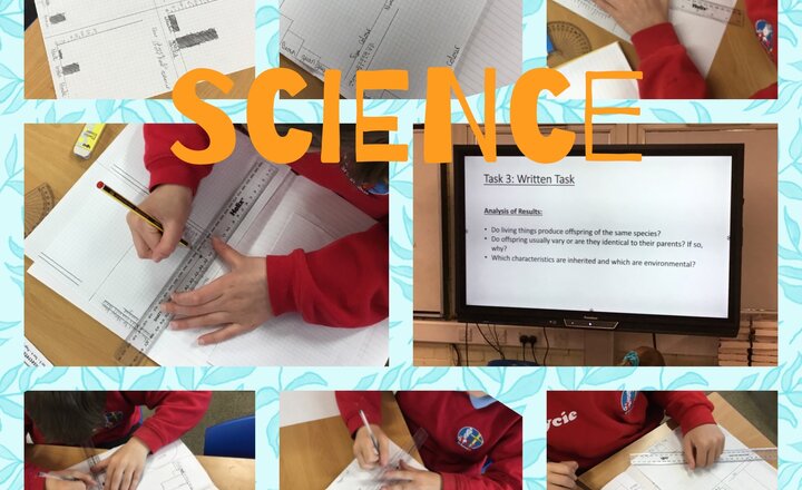 Image of Year 6 Science