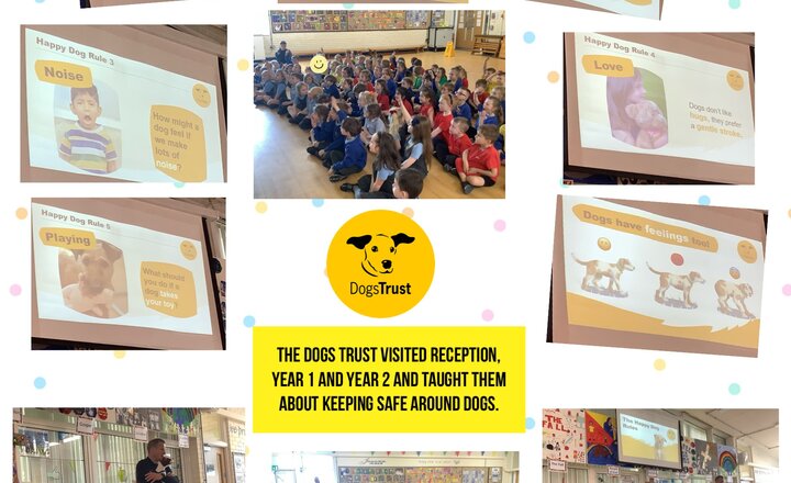 Image of The Dogs Trust Visits Reception, Year 1 and Year 2. 