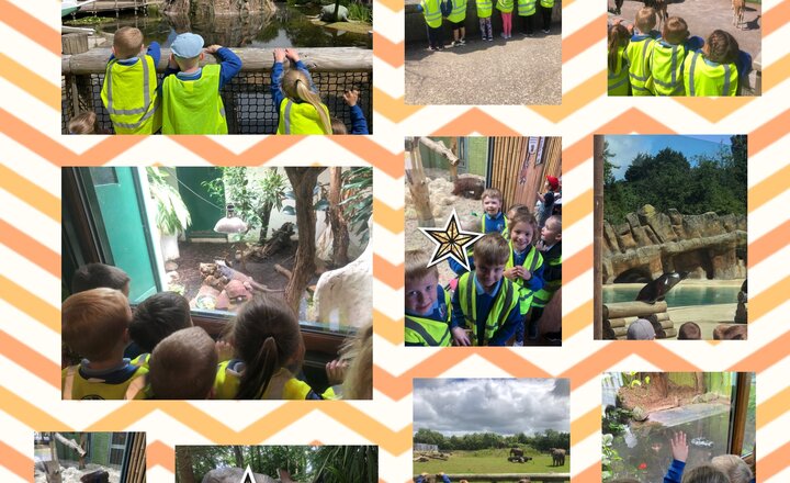 Image of Reception’s visit to Blackpool Zoo