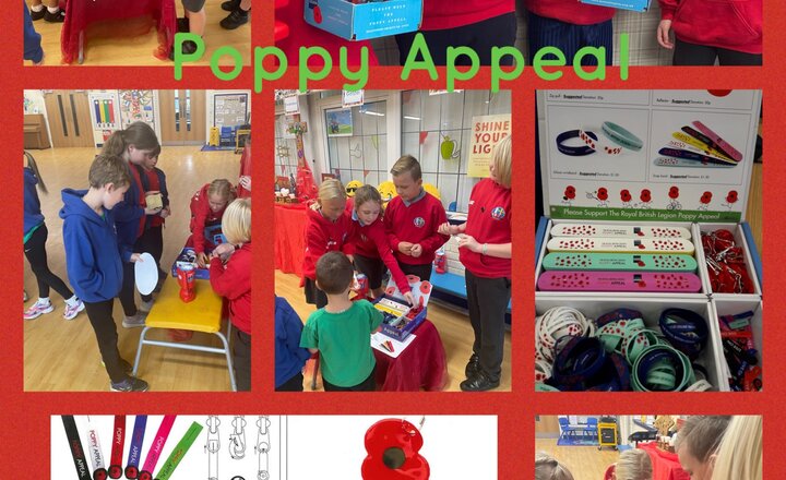 Image of Poppy Appeal 