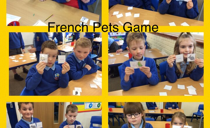 Image of Year 3 French - Pets Game