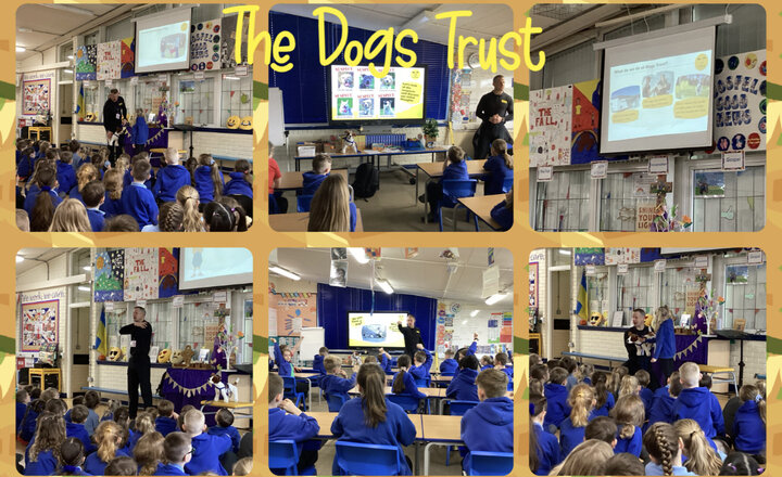 Image of Dogs Trust Visit in Year 4 