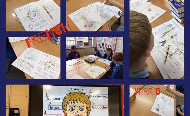 Image of French- le visage - Year 5
