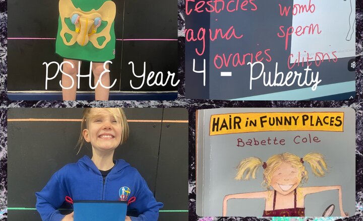 Image of PSHE Year 4 Puberty and Hair in Funny Places