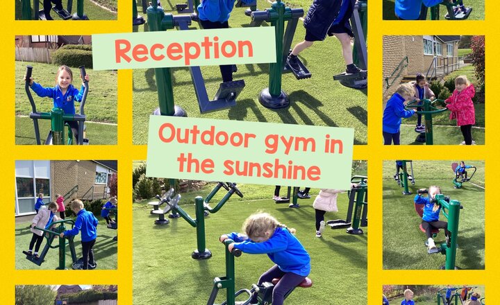 Image of Reception- outdoor gym
