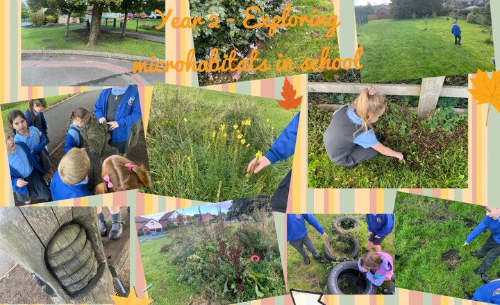 Image of Year 2 - Exploring Microhabitats within the school grounds.