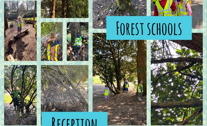 Image of Reception: Forest Schools