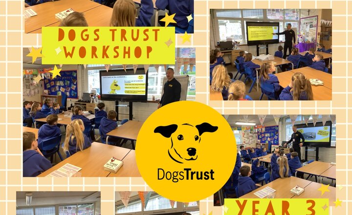 Image of Year 3 Dogs Trust Workshop 