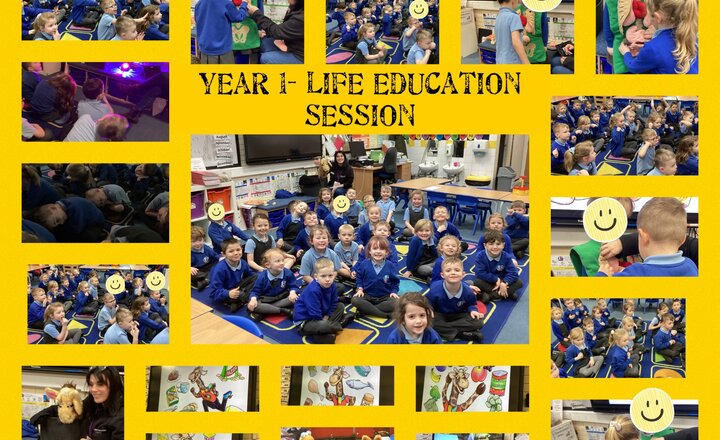 Image of Year 1- Life Education Session 