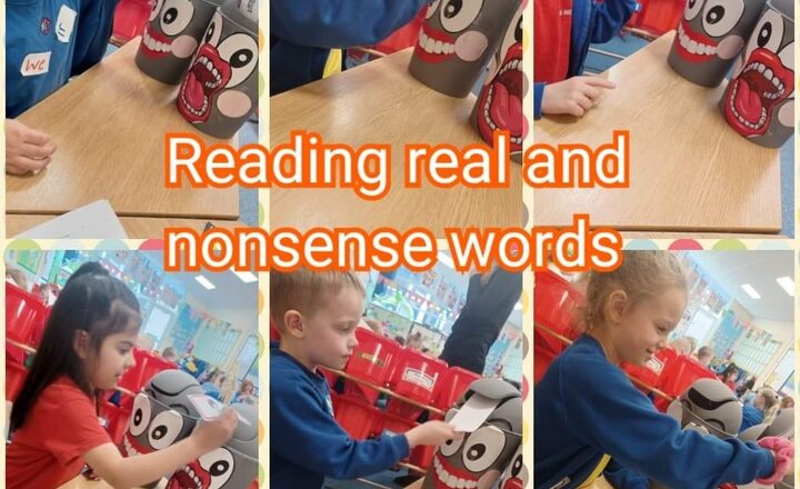 Image of Year 1 Phonics- real and nonsense words 
