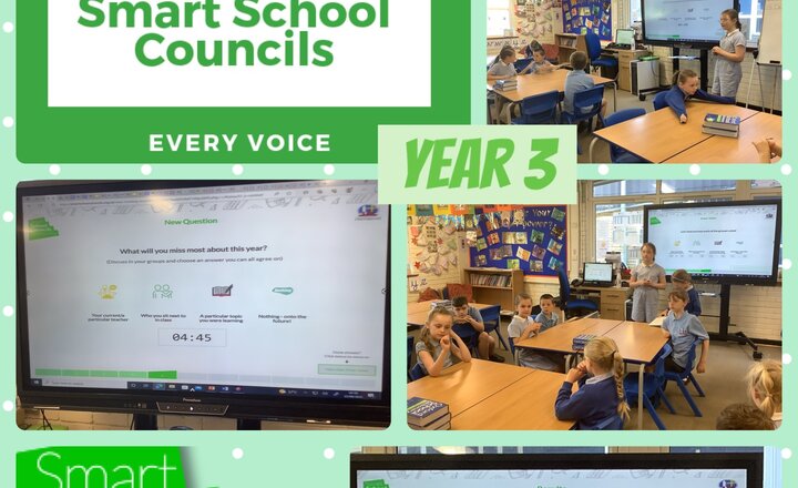 Image of Year 3 School council