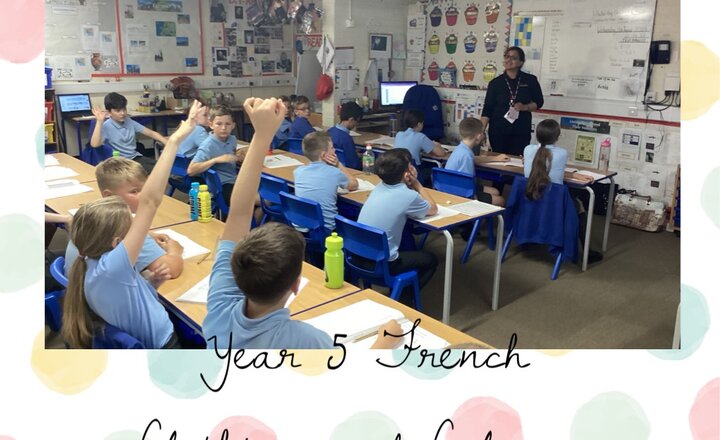 Image of Year 5 French - Clothing and Colours