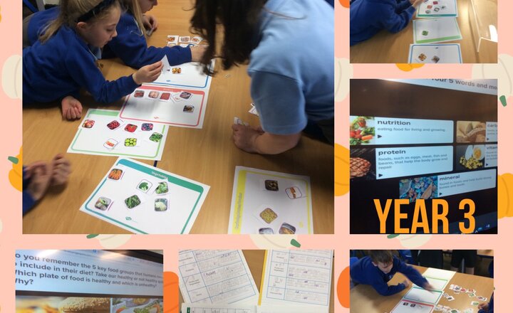 Image of Year 3 Science- Food groups