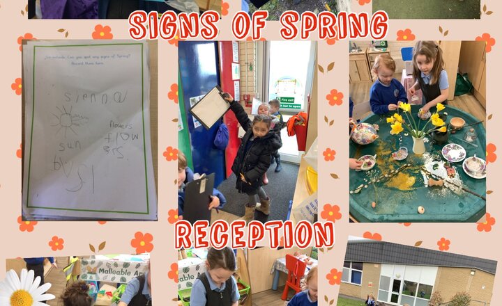 Image of Reception - Signs of Spring 