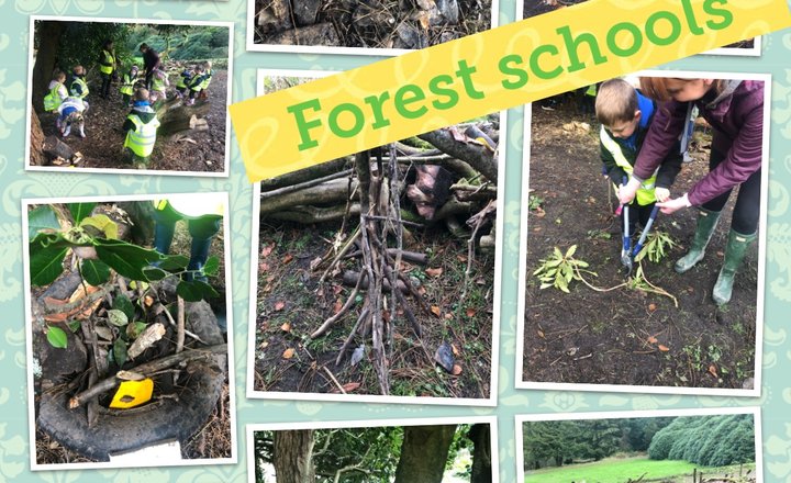 Image of Reception: Forest schools