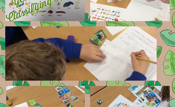 Image of Year 4 - Classifying Animals