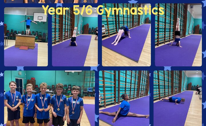 Image of Year 5/6 Gymnastics Competition 