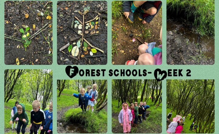 Image of KS1 Forest schools- Week 2