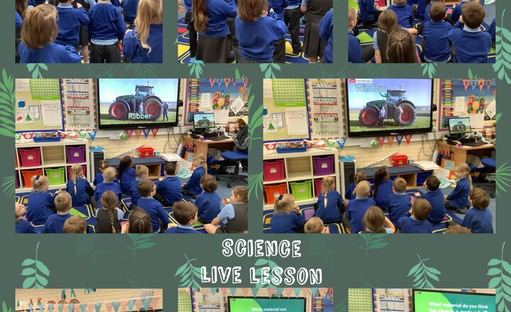 Image of Year 1- Science week live lesson