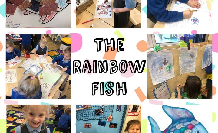 Image of Reception: the Rainbow fish 