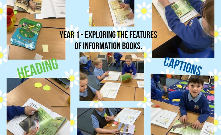 Image of Year 1- Exploring Information Books
