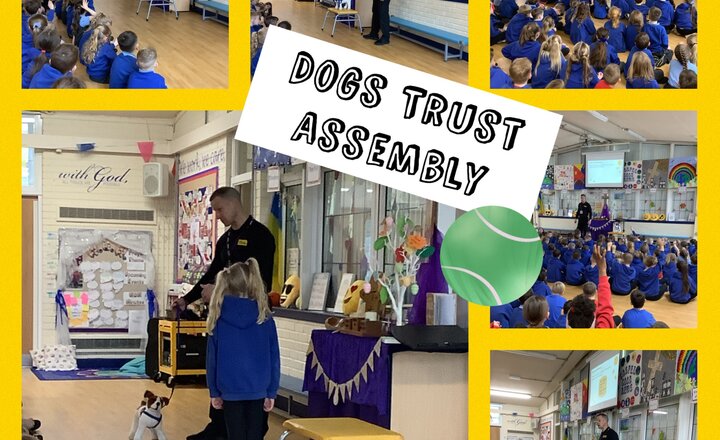 Image of Whole School Assembly - Dogs Trust 