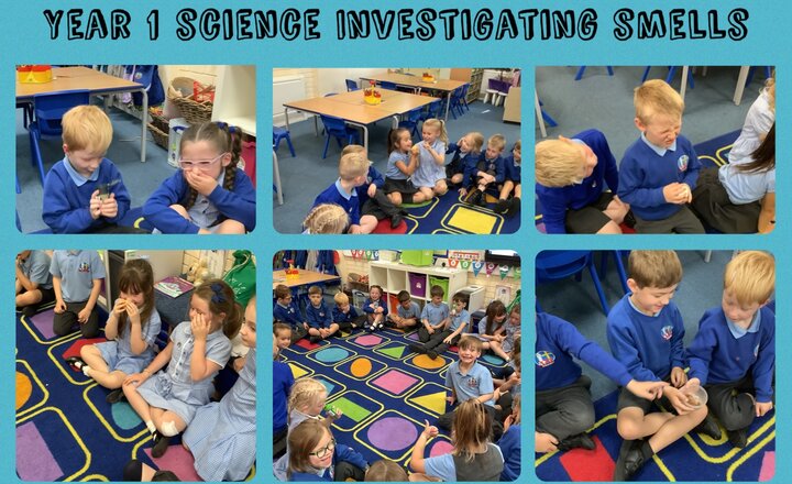 Image of Year 1 Science Investigating Smells