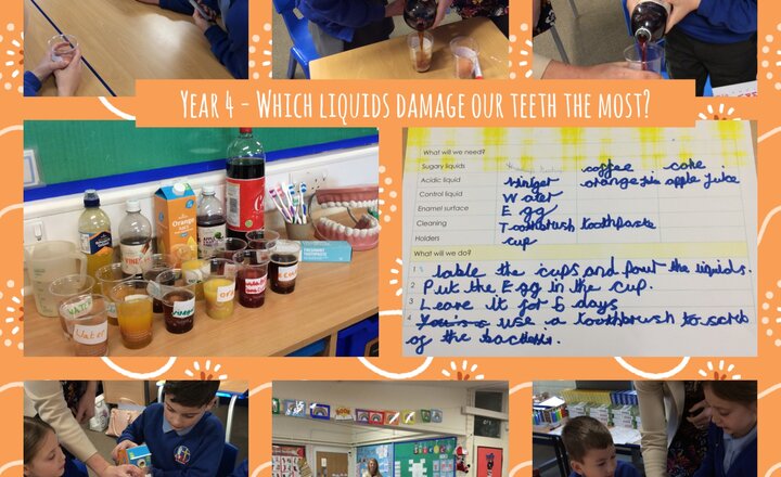 Image of Year 4 - Comparative Testing 