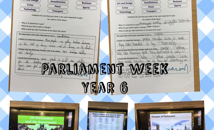 Image of Year 6 Parliament Week