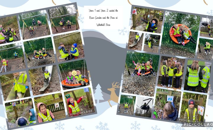 Image of Year 1 and 2 visit to Whitehall Park 