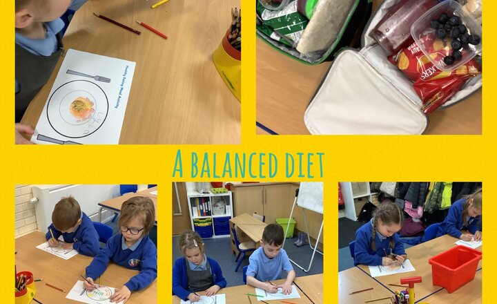 Image of Year 1- What makes a balanced diet?