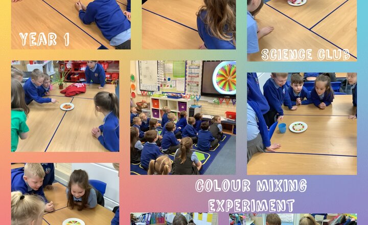 Image of Science Club- Colour mixing experiment with Year 1