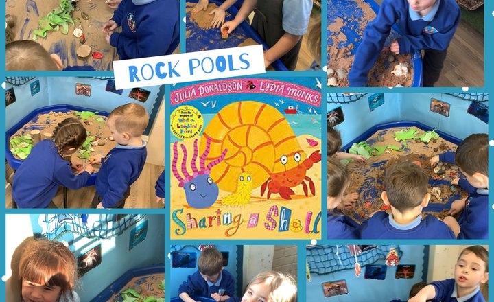 Image of Reception - Rock pools