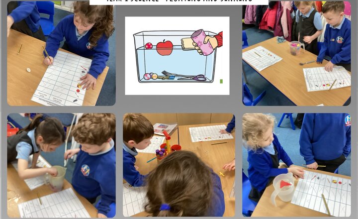 Image of Year 1 Science- Making a Prediction and Performing a Test