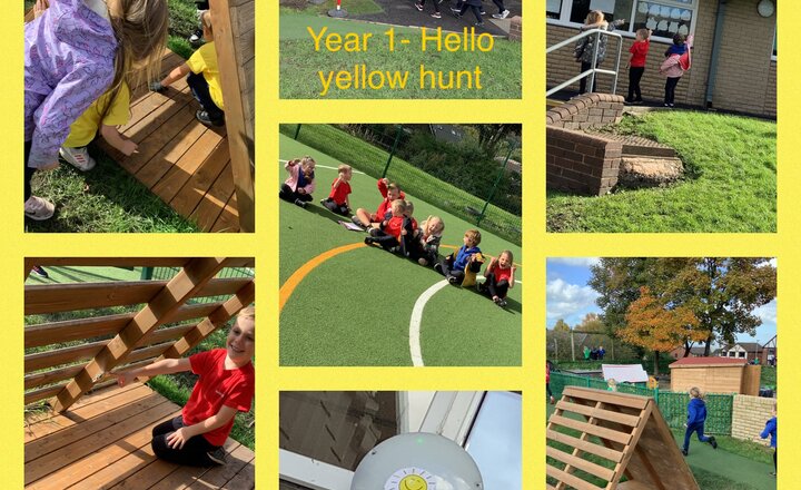 Image of Year 1- Hello yellow hunt 