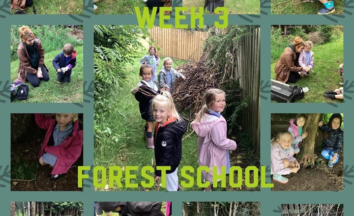 Image of Forest school week 3