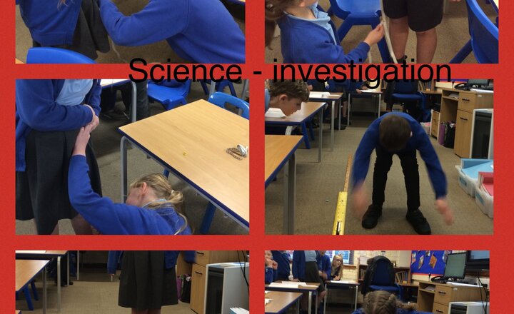 Image of Year 3 Science investigation - Can people with long femurs jump further?  