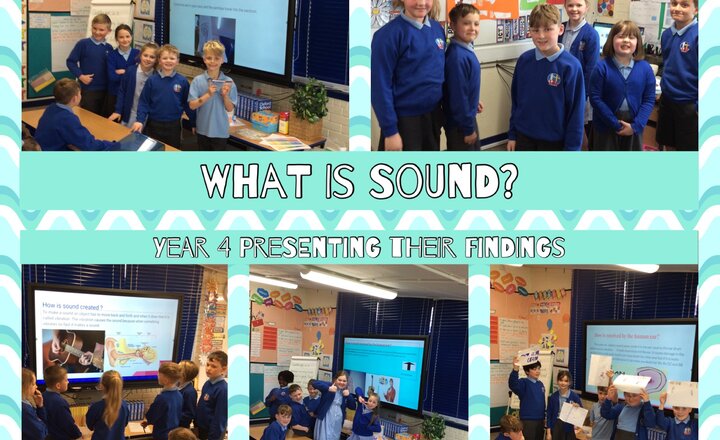 Image of Year 4 - Science: Presenting our findings