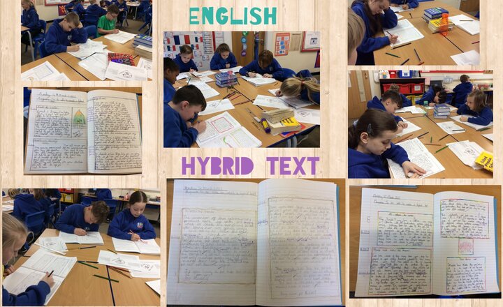 Image of Hybrid text- Year 5 