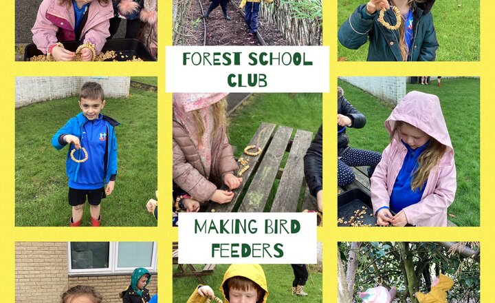 Image of Forest school club