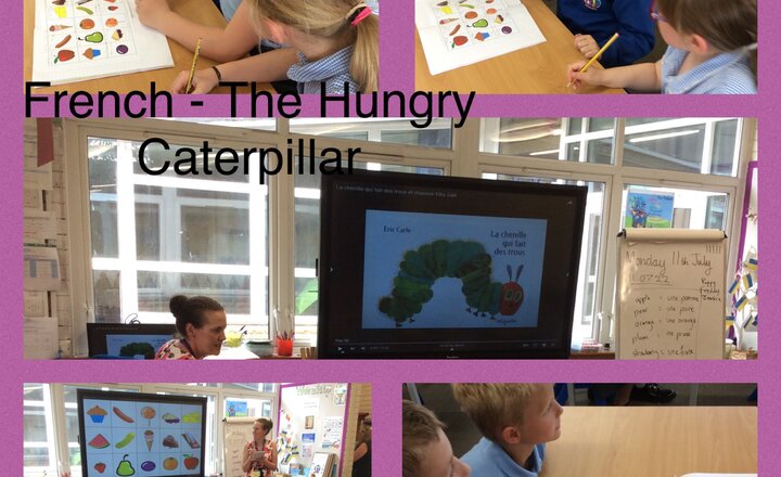 Image of Year 3 French - The Hungry Caterpillar