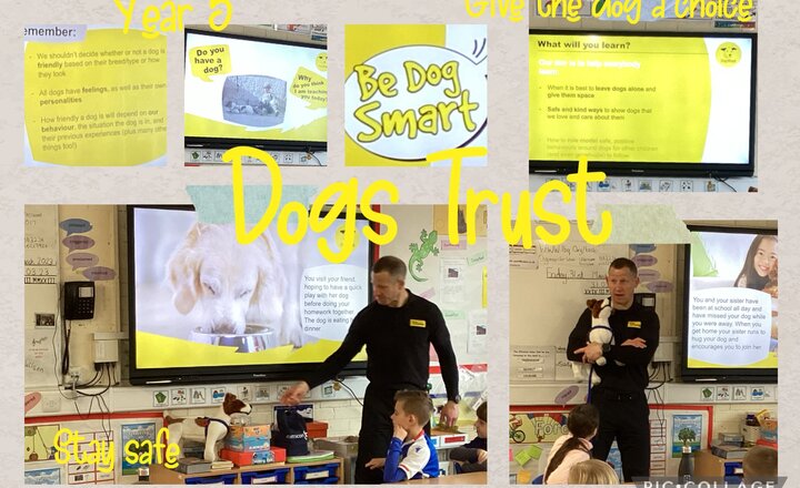 Image of Year 5 - Dogs Trust visit
