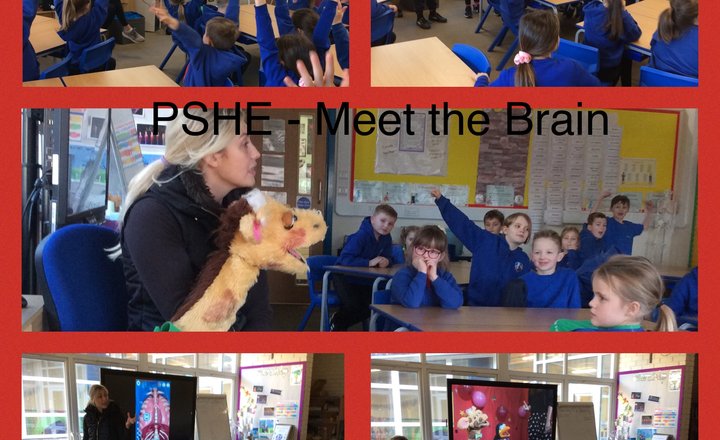 Image of Year 3 PSHE- The brain and staying healthy.