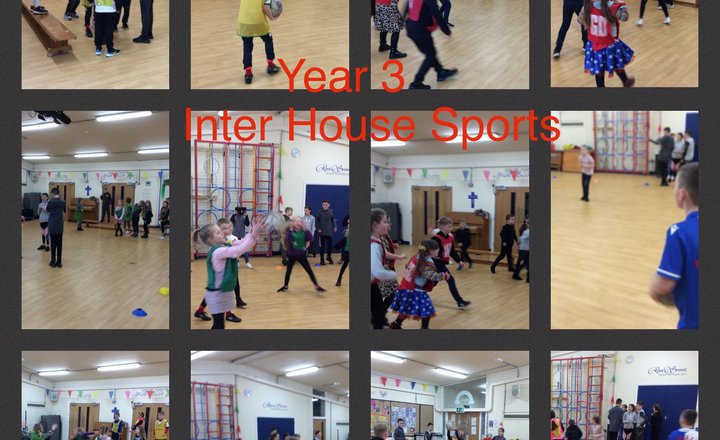 Image of Year 3 Inter House Sports - bench ball 