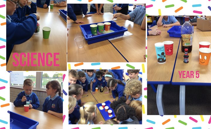 Image of Year 5 - Science
