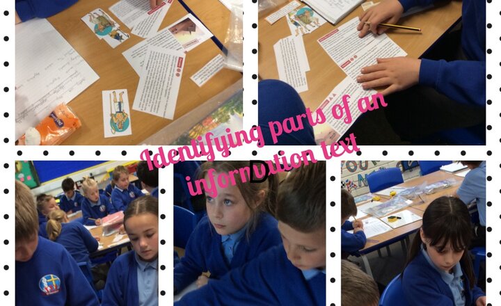 Image of Year 4 - Investigating Information Texts