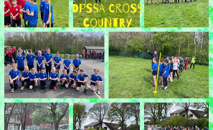 Image of DPSSA Cross Country 