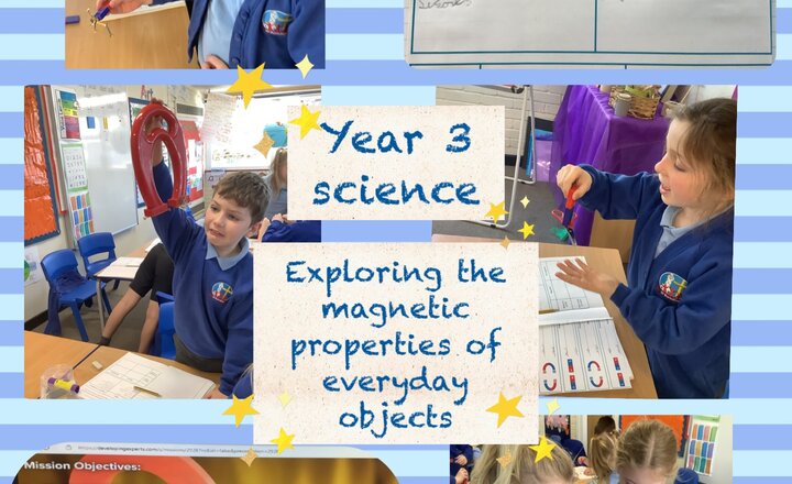 Image of Year 3 Science 